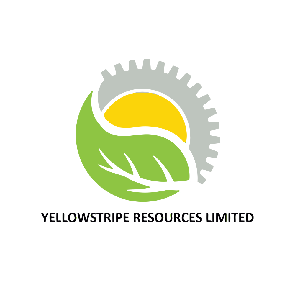yellow Logo